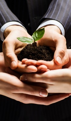 d165682d-701c-4b05-824b-c94c8a574797